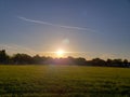 A field of Sunrises Royalty Free Stock Photo