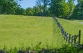 Field of tall grass on a bright and sunny early June morning in Strafford VT Royalty Free Stock Photo