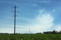 Field with telephone poles under blue sky Royalty Free Stock Photo