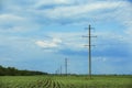 Field with telephone poles under sky Royalty Free Stock Photo