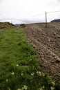 Field terrains land Royalty Free Stock Photo