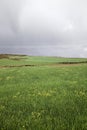 Field terrains land Royalty Free Stock Photo