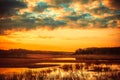 Field after the tide Royalty Free Stock Photo