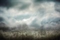 a field with trees and clouds in the background and a sky filled with dark clouds above the grass and trees in the foreground,