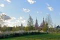 Field and trees with the Moscow Kremlin