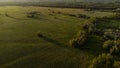 a field with trees in the rays of the golden sun at sunset Royalty Free Stock Photo