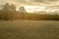 Field with trees in sepia tone wanderlust dreamscape scenery wit Royalty Free Stock Photo