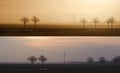 Field with trees and windmills on the horizon in the evening and in the morning.