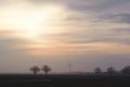 Field with trees and windmills on the horizon in the evening. Typical dutch landscape. Royalty Free Stock Photo
