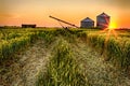 A field with two silos and a tractor Royalty Free Stock Photo