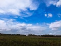 Field under the blue sky Royalty Free Stock Photo