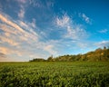 Field under the hill on sunset Royalty Free Stock Photo