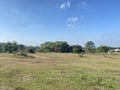 field under Mount Merapi, Central Java