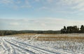 Field under snow. Royalty Free Stock Photo