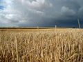 Field under storm Royalty Free Stock Photo