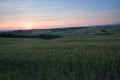 A field in Val d`Orcia also called Valdorcia landscape in Tuscany at sunset. A very popular travel destination in Italy Royalty Free Stock Photo