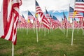 Grassy Field of Veterans Day American Flags Waving in the Breeze. Royalty Free Stock Photo