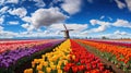A Field of Vibrant Blooms and a Charming Windmill