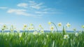 Simplified And Realistic Rendering Of Daffodils In A Vibrant Green Field