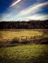 A Field With A View