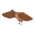 Field vulture icon isometric vector. Evil bird