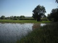 Field watered by flood irrigation