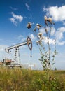 Field weeds and oil pump Royalty Free Stock Photo