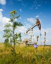 Field weeds and oil pump Royalty Free Stock Photo