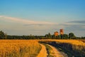 A field of wheat, a dirt road and a ruined rural church at sunset of a summer day. Moscow region, Russia. Royalty Free Stock Photo