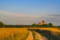 A field of wheat, a dirt road and a ruined rural church at sunset of a summer day. Moscow region, Russia Royalty Free Stock Photo