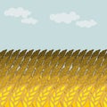 Field of wheat. Grain field and blue sky. Rye Spikes Royalty Free Stock Photo