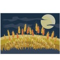 Field with wheat at night, a round moon is shining on a dark sky, cartoon illustration, vector