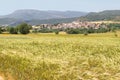 Field of wheat with picturesque village at background Royalty Free Stock Photo