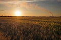 Field of wheat and power plant against sunset Royalty Free Stock Photo