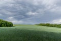 A field of wheat and a view of dark clouds on a hilly landscape before sunset in the distance you can see the rain Royalty Free Stock Photo