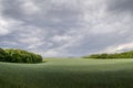 A field of wheat and a view of dark clouds on a hilly landscape before sunset in the distance you can see the rain Royalty Free Stock Photo