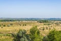 A field in which nothing grows, except trees. In the distance you can see the city Royalty Free Stock Photo