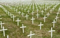 Field of white crosses