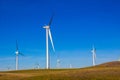 Field Of White Energy Wind Mills Against Blue Sky