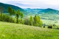 Field of white flowers and blue mountains