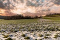 A field with white snow and a bald dense forest under a cloudy sky Royalty Free Stock Photo