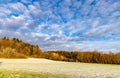 A field with white snow and a bald dense forest under a cloudy sky Royalty Free Stock Photo