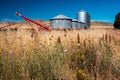 Field wildflowers with a grain silo in the background