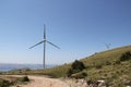 Field of wind turbines for production of electricity.