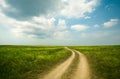 Field winding road through Royalty Free Stock Photo