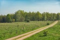 Field winding road through the green meadow Royalty Free Stock Photo