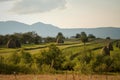 At field work in Breb village, MaramureÃâ¢ County, Romania.