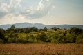 At field work in Breb village, MaramureÃâ¢ County, Romania.