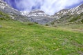 Field of yellow flowers in the Pyrenees Royalty Free Stock Photo