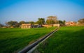 Field of young wheat, Agricultural irrigation system watering a green wheat field in India Royalty Free Stock Photo